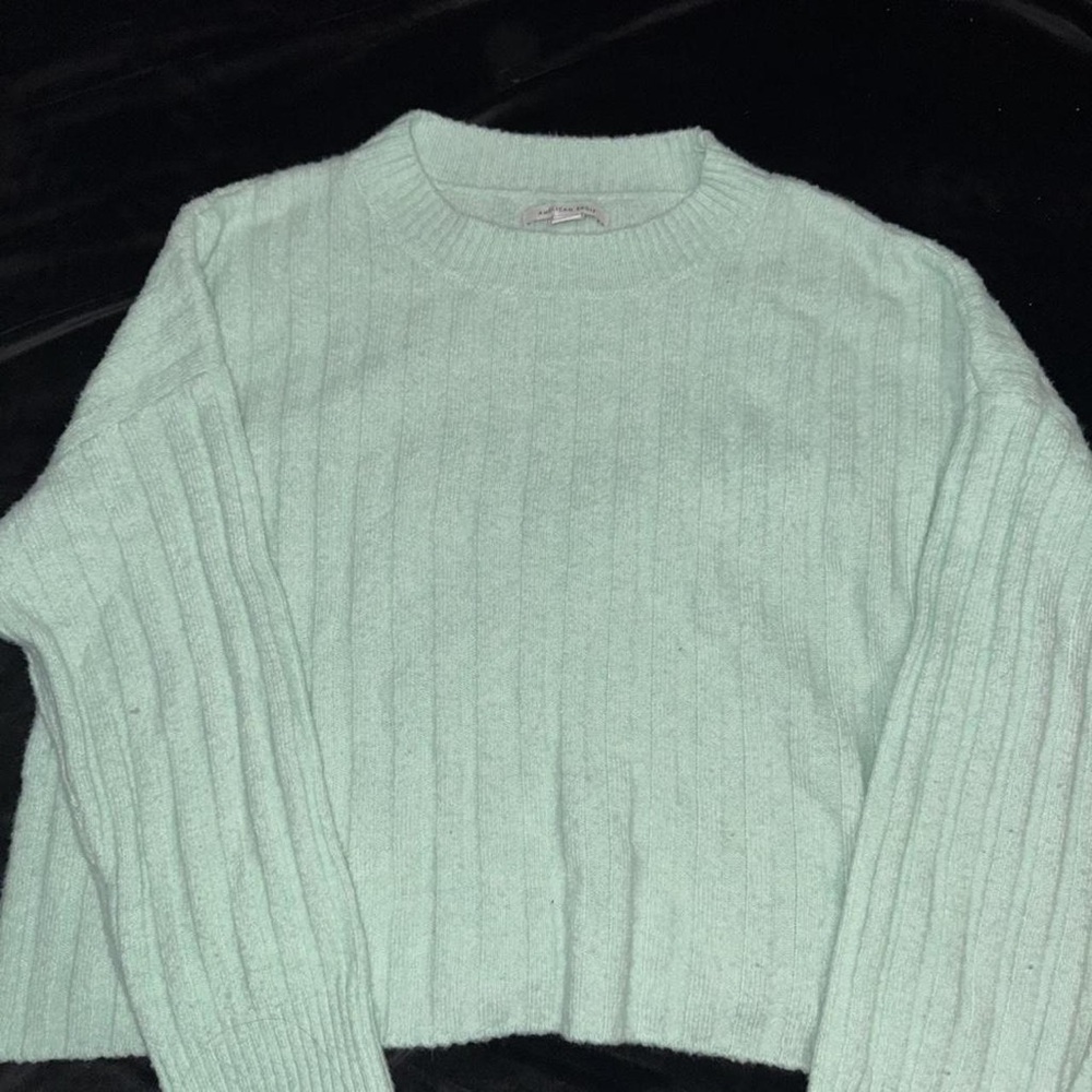 American Eagle Outfitters Mint Crew Neck Sweater